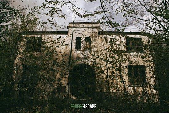 Forest Escape