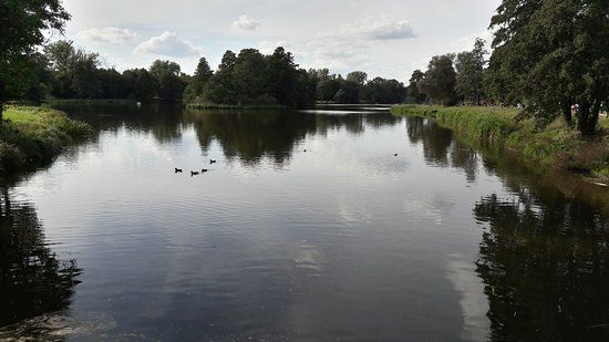 Staw Stefańskiego