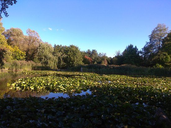 Łódzki Ogród Botaniczny