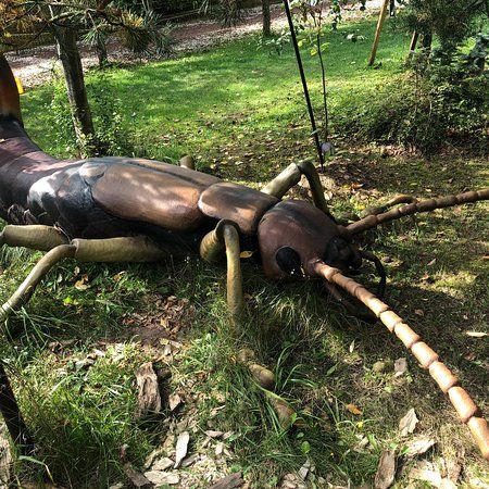 MIKROKOSMOS Park Edukacyjny